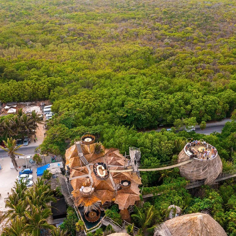 tulum rainforest