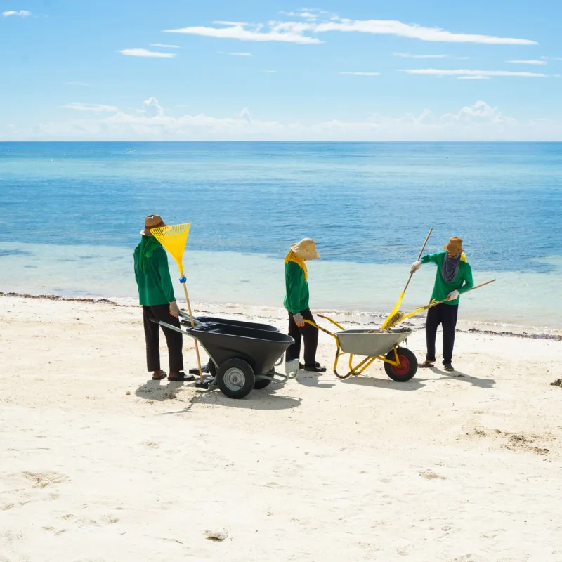 Beach cleaners