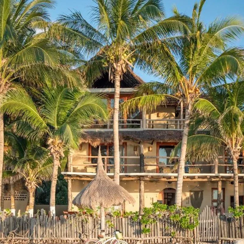 exterior view of Casa CAT BA hotel beachfront in Holbox, palm trees in the foreground.