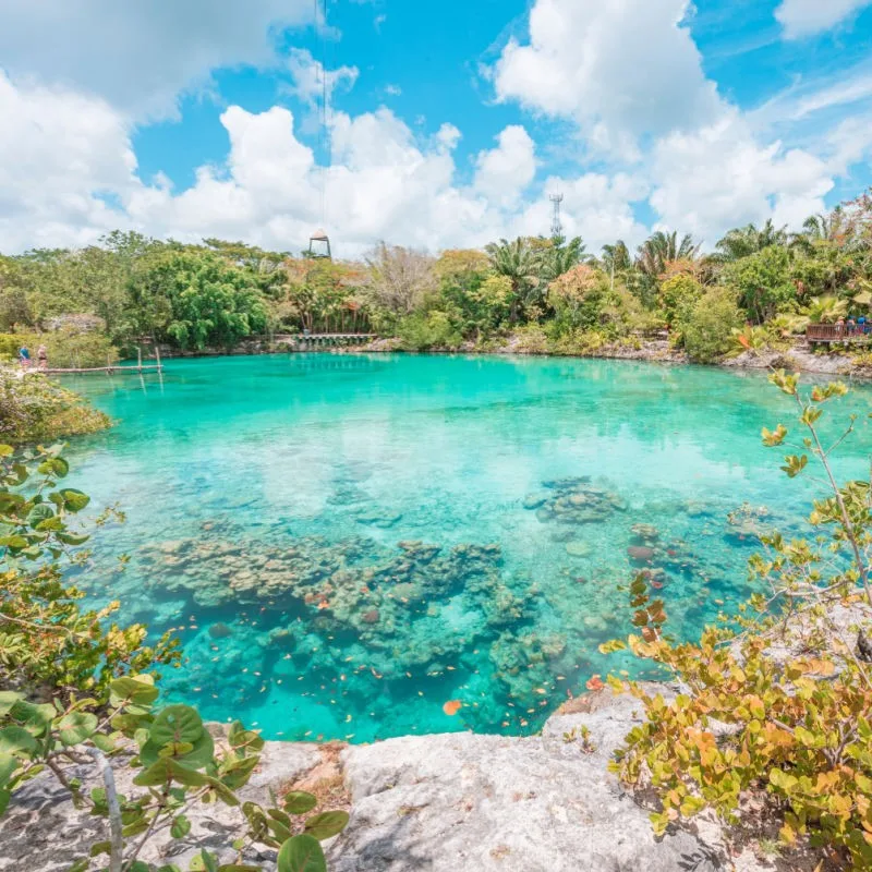 Cozumel Cenote