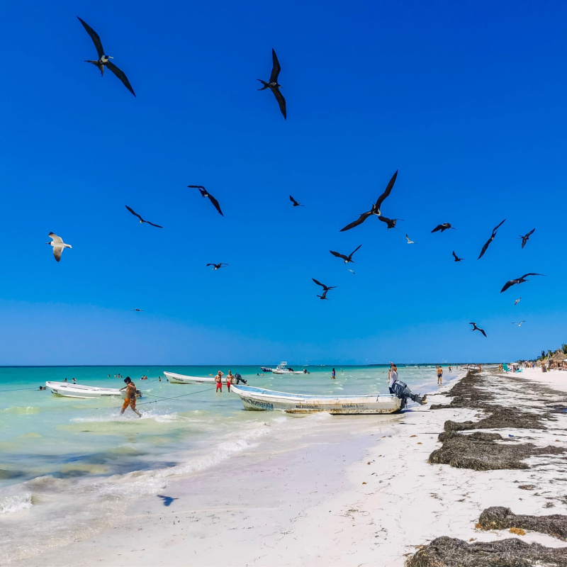 birds flying at the main Holbox beach, tourists playing in the water and fishing boats docked.