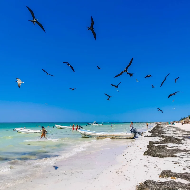 Holbox beach