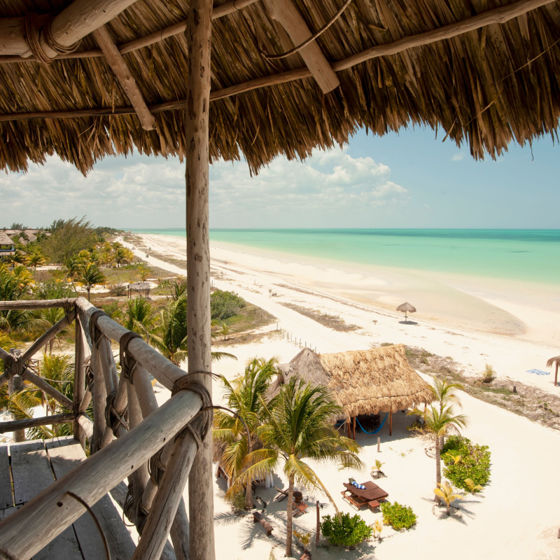 view from under a palapa overlooking the beach in Holbox.