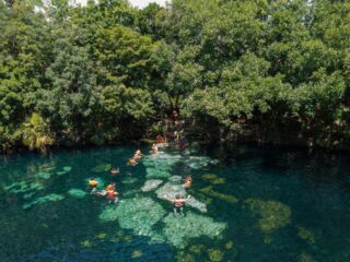 Playa Del Carmen Announces Plan To Clean Up 300 Cenotes For Tourists To Enjoy