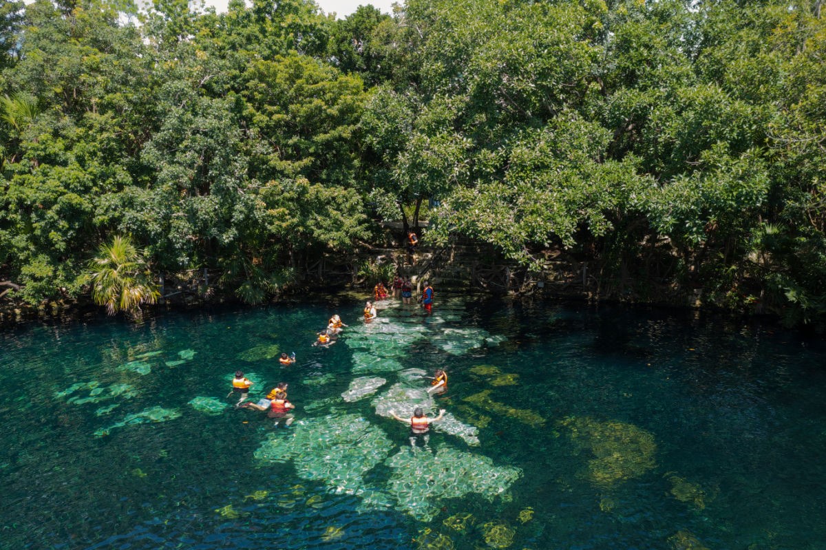 Playa Del Carmen Announces Plan To Clean Up 300 Cenotes For Tourists To ...