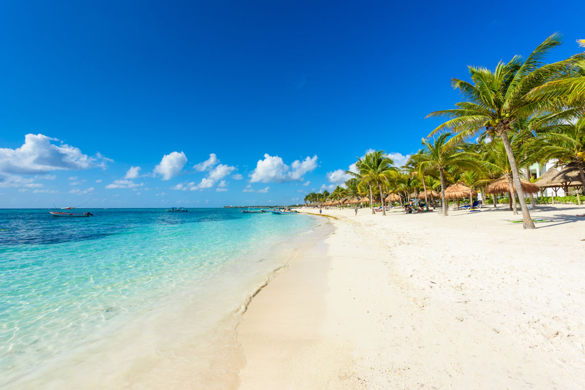 Sargassum Season Is Officially Over In Cancun As Beaches Mostly Free Of ...