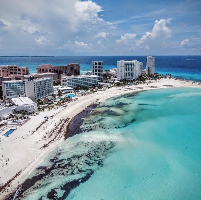 Cancun Sargassum