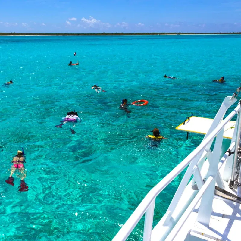 People Snorkeling in the water in Cozumel, Mexico