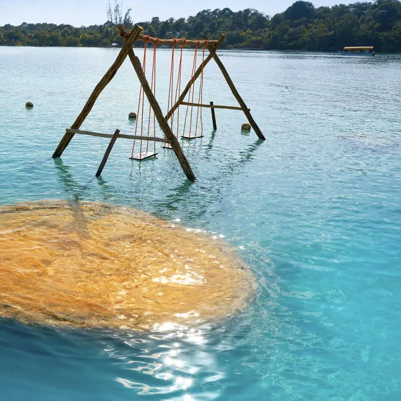 Stromatolites in Bacalar Lagoon