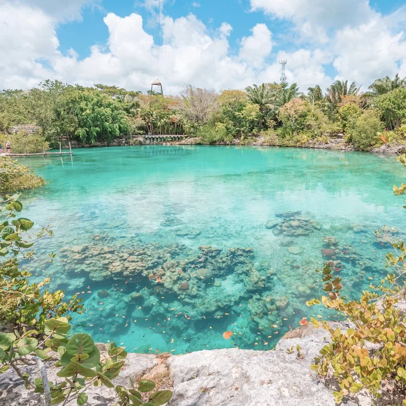 cozumel clear water