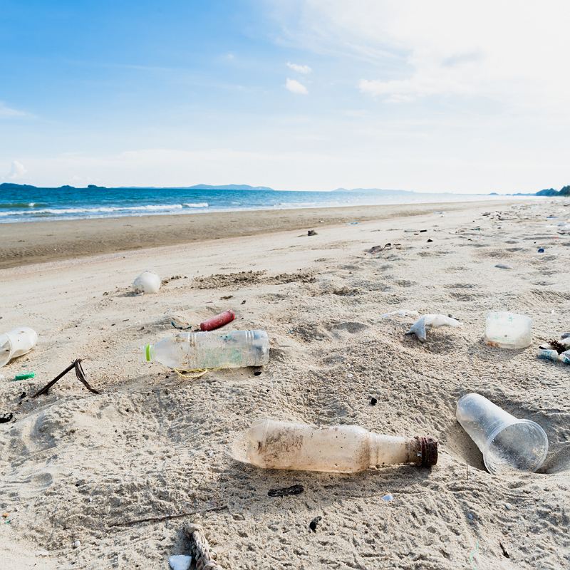 litter trash beach