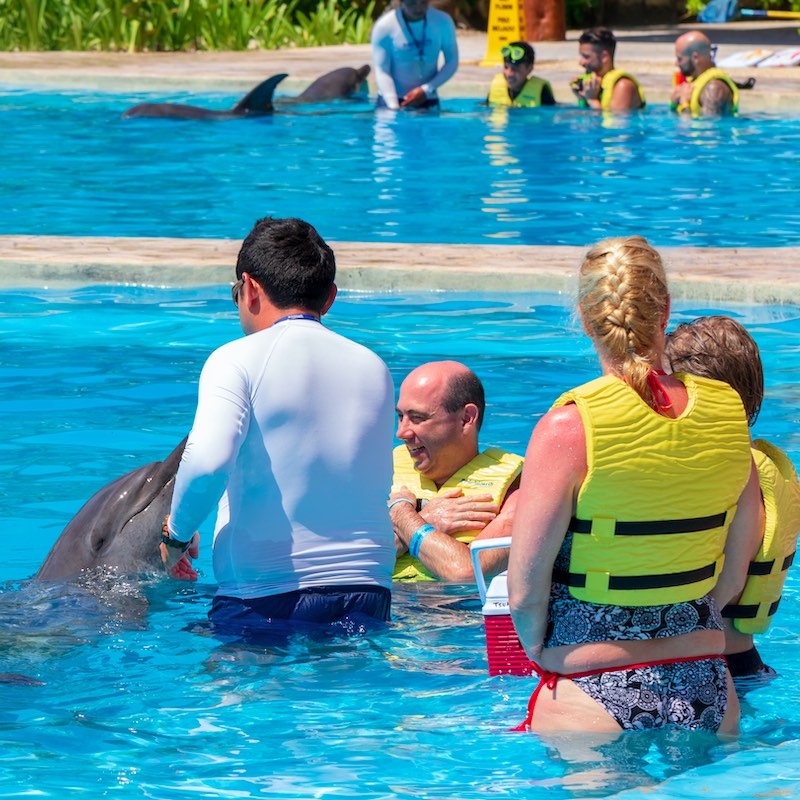 Unidentified tourists swim with dolphins at the Cancun Dolphinarium at the Barcelo Maya Beach Hotel