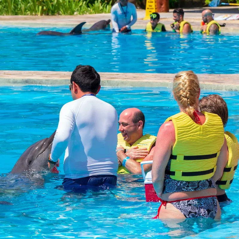 swimming unidentified tourists with dolphins at the Dolphinarium in Cancun at the Barcelo Maya Beach Hotel