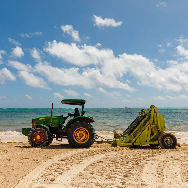 tractor collecting seaweed