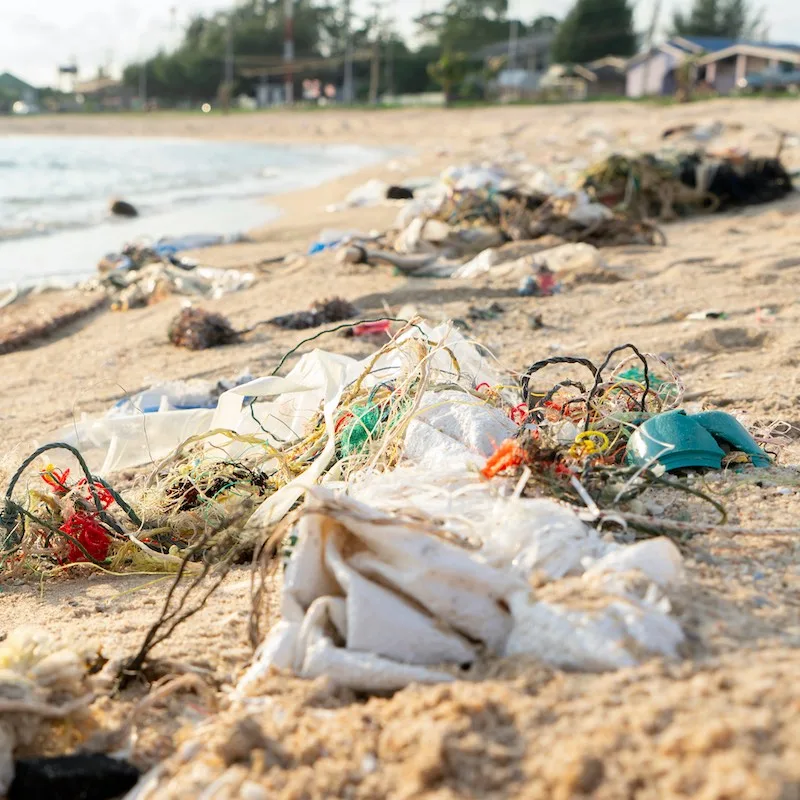 trash scattered along a beach in Cancun