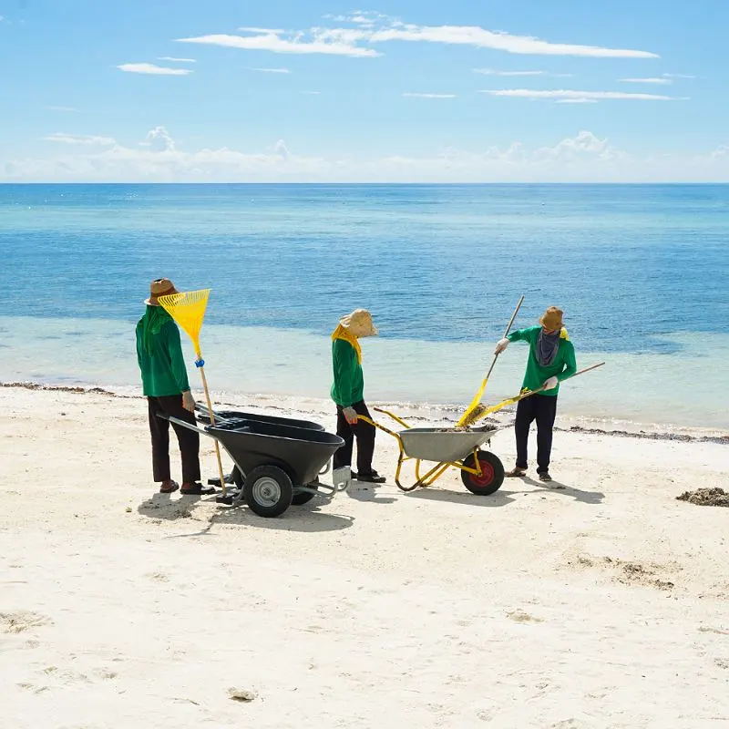 workers cleaning trash beach mexico