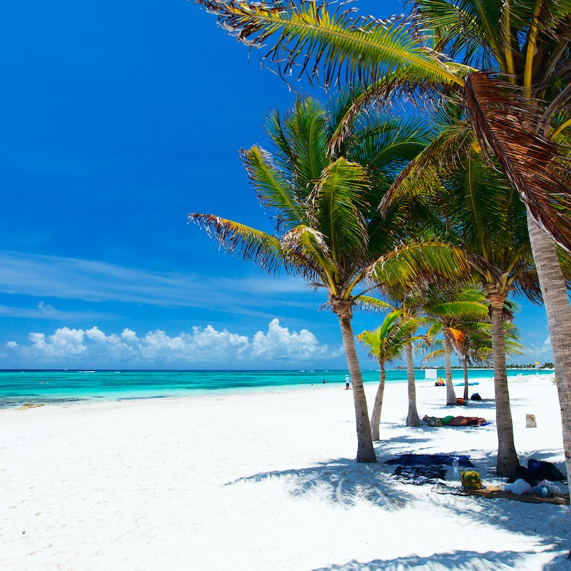 white sand beach, palm trees, and blue sky in Akumal in the Riviera Maya, Mexico.