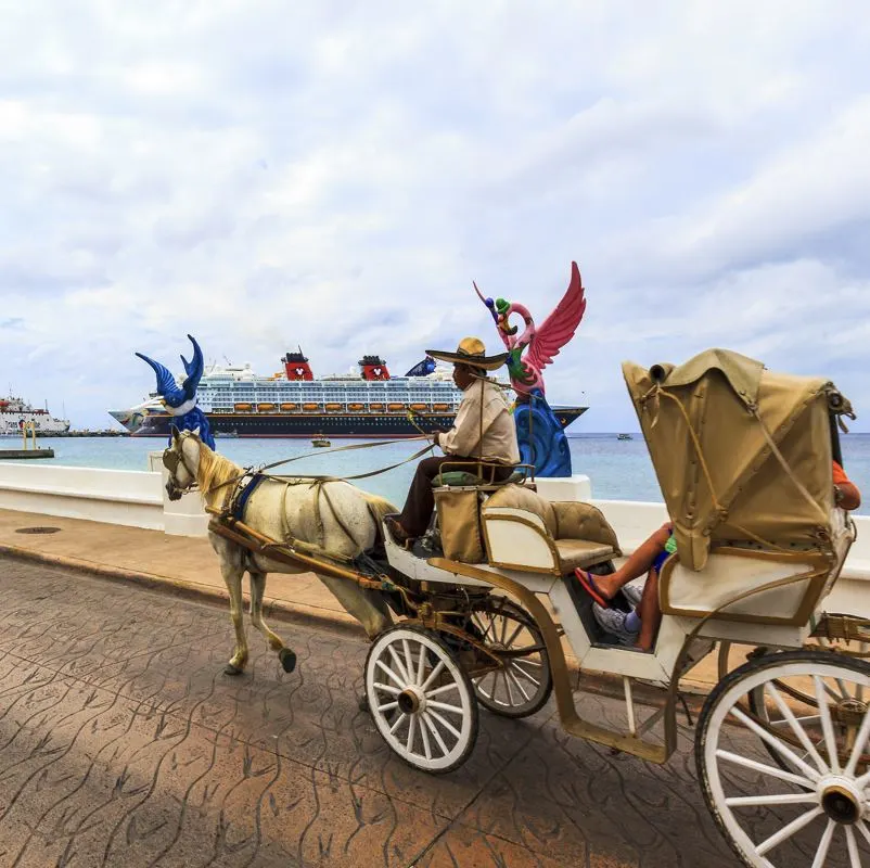 tourist riding horse chariot by the water with cruise ship in background