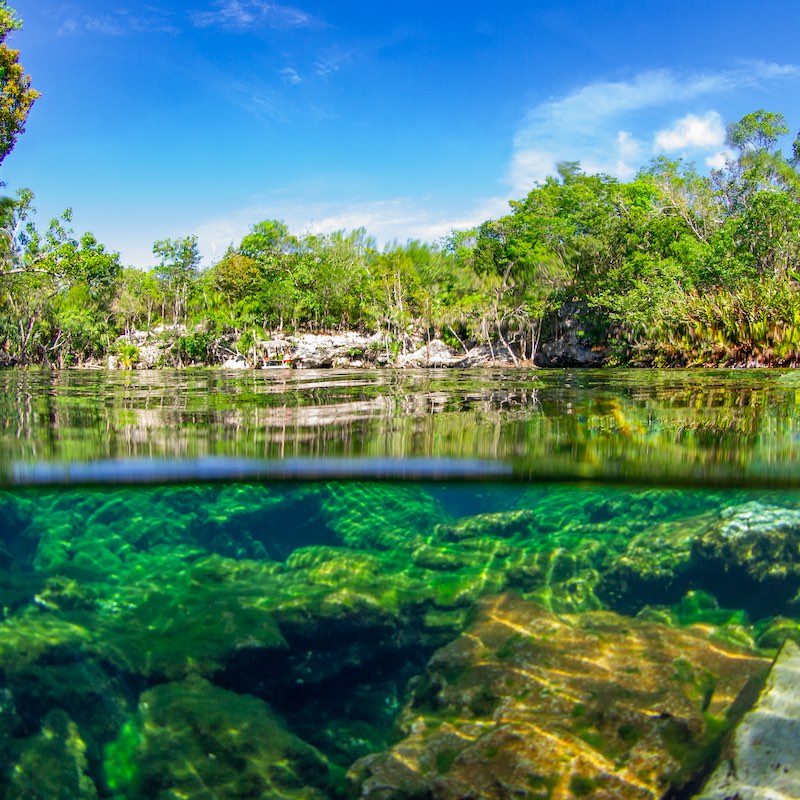 Half underwater shot in a cenote (Cenote Ponderosa, Playa del Carmen, Quintana Roo, Yucatan, Mexico)
