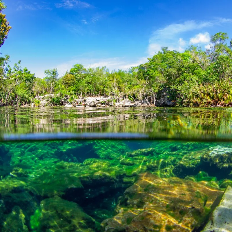 Half underwater shot in a cenote (Cenote Ponderosa, Playa del Carmen, Quintana Roo, Yucatan, Mexico)
