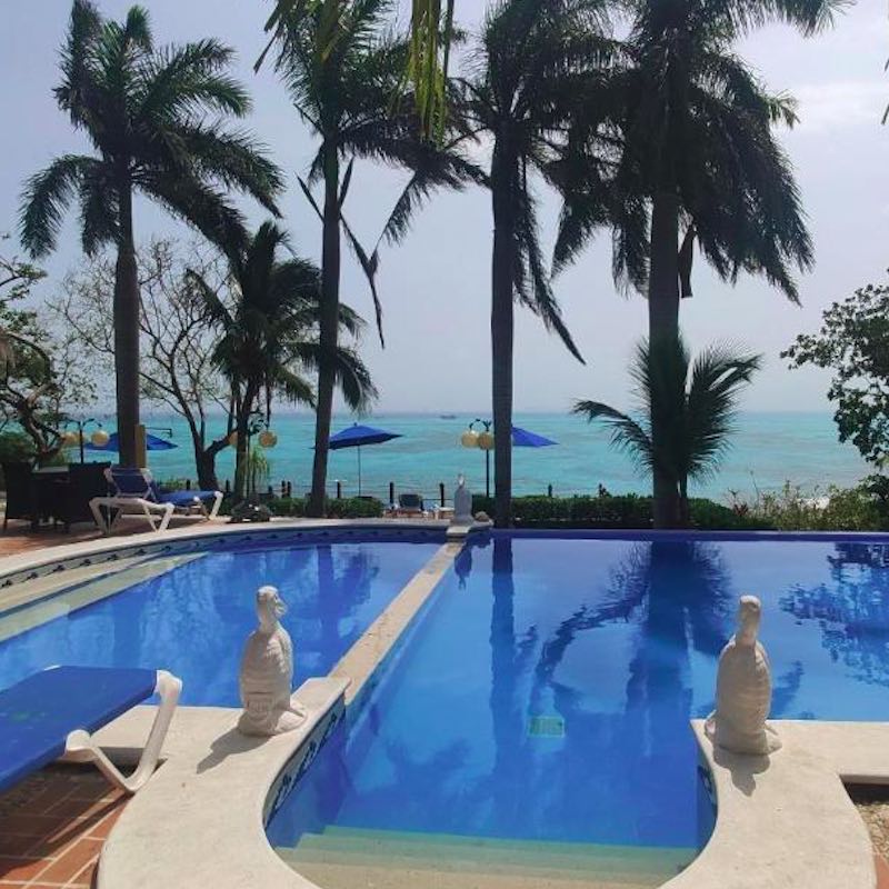 outdoor pool with palm trees and Caribbean Sea in the background at Hotel La Joya in Isla Mujeres