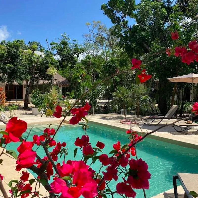 outdoor pool day view surrounded by palm trees at Maya Eco Village Hotel in Akumal, Mexico.