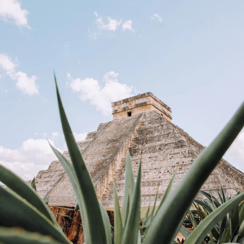 view of Chichen Itza, cactus in the foreground and camera pointed up at the Mayan ruins during the day. 
