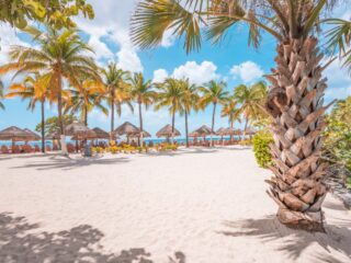 More Direct Cozumel Flights From The US And Canada Are Announced 