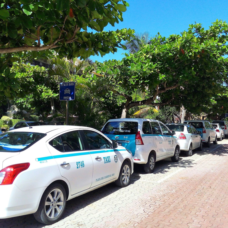 Taxis Lined Up Waiting to Pick Up Tourists