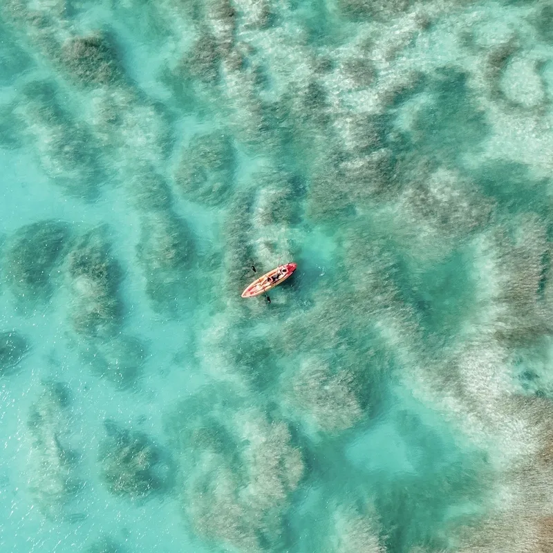 kayak bacalar