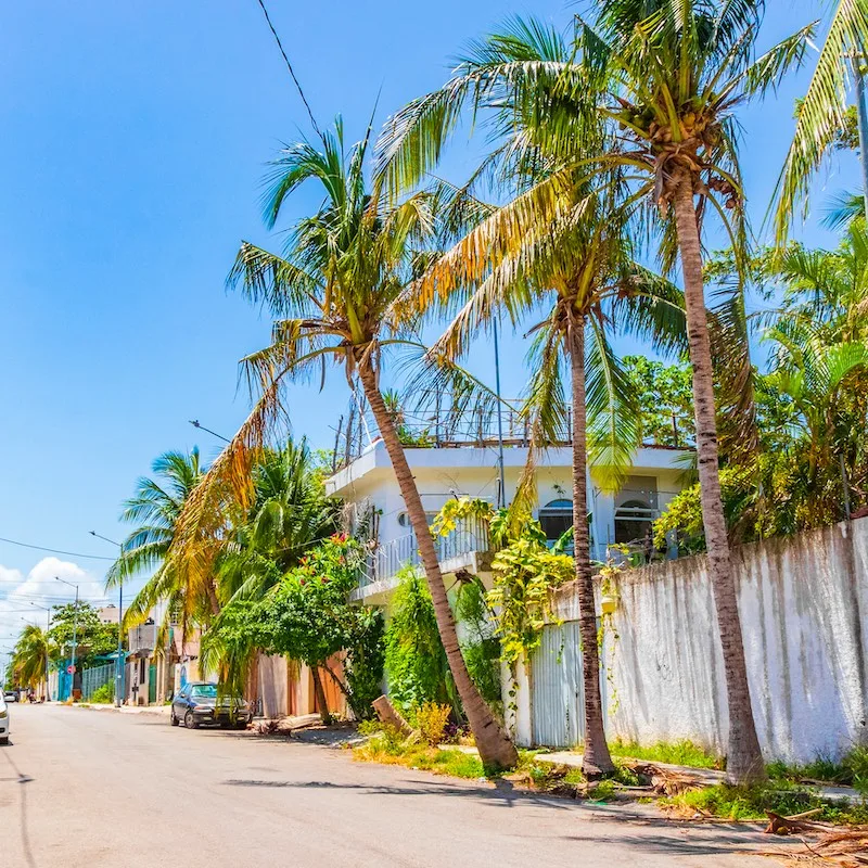 Typical street road and cityscape with cars and palm trees buildings of Luis Donaldo Colosio Playa del Carmen in Mexico