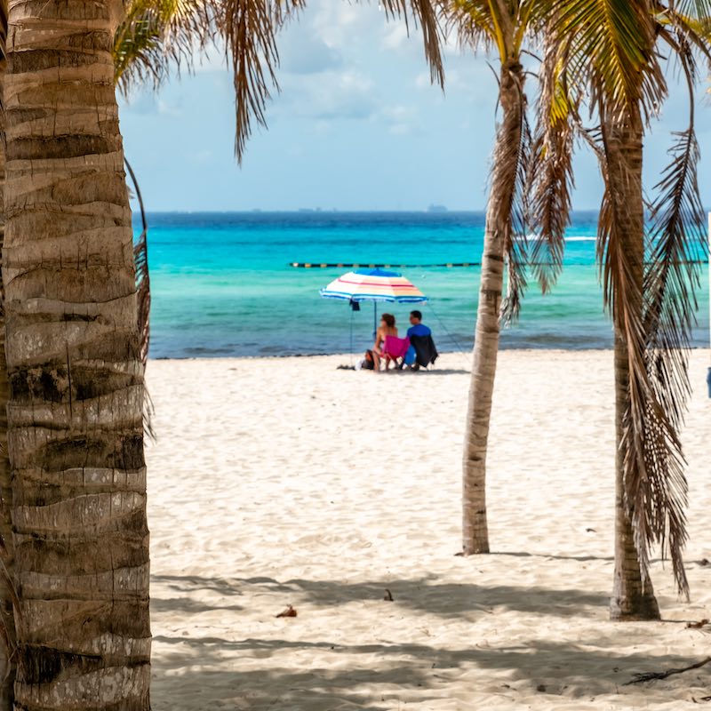 Tropical landscape with coconut palm on Playacar beach at Caribbean sea in Playa del Carmen, Mexico