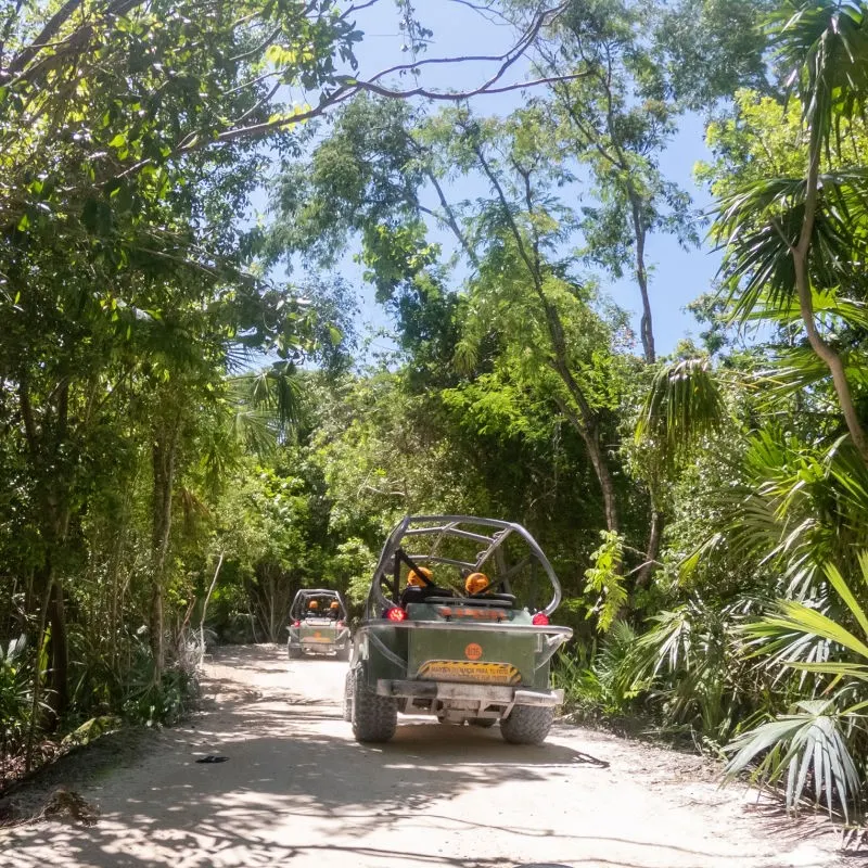 ATV Tour Through the Jungle in Cancun.