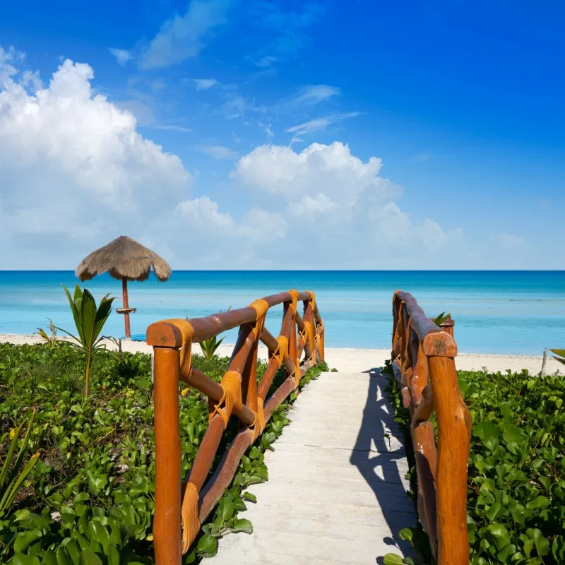 Beach in Holbox with a path walking toward the sand and water.