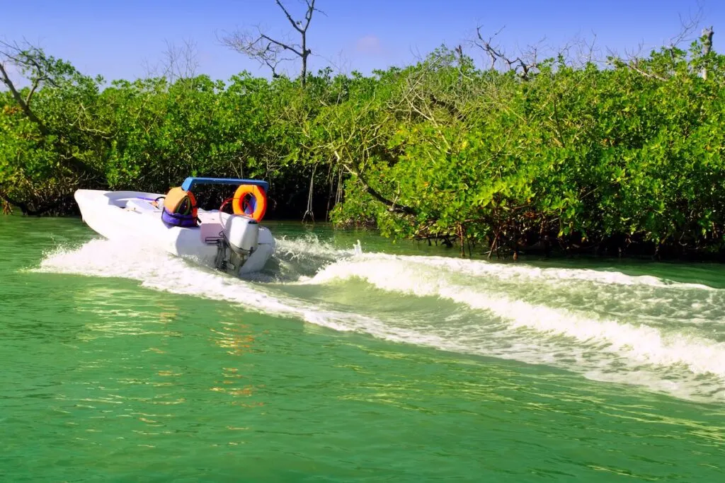 boat tour in the mangroves of Mexico