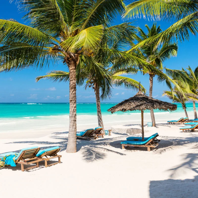 Caribbean beach in Cancun with palm trees and blue water