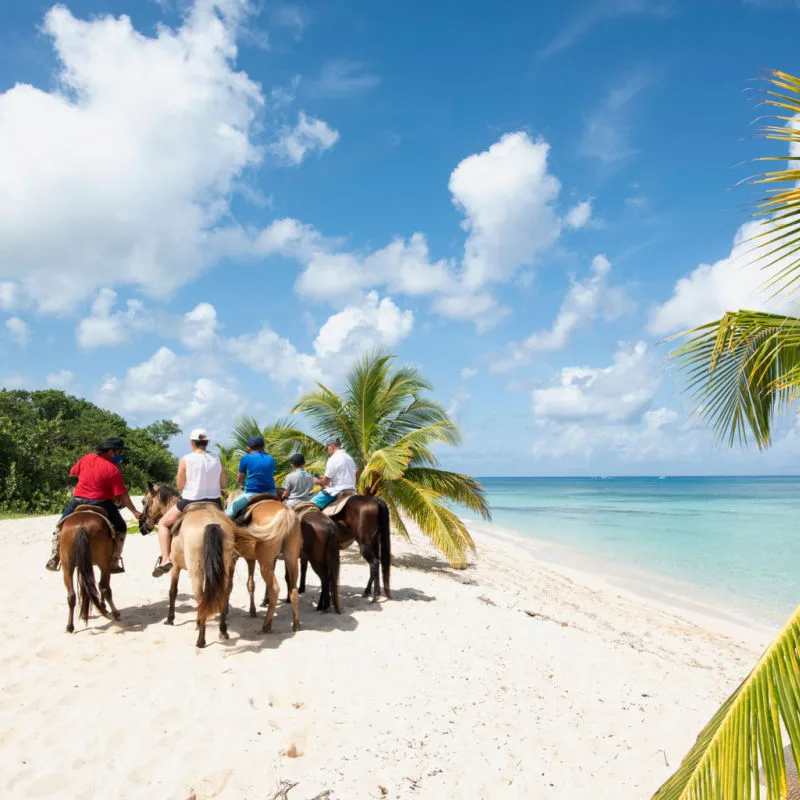 Horseback riding in Cozumel with white-sand beach