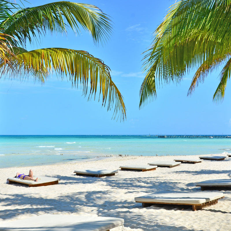 Tropical view and palm trees in Isla Mujeres