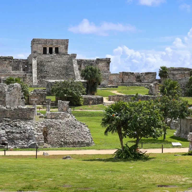 Overview of several ancient Maya buildings and greenery 
