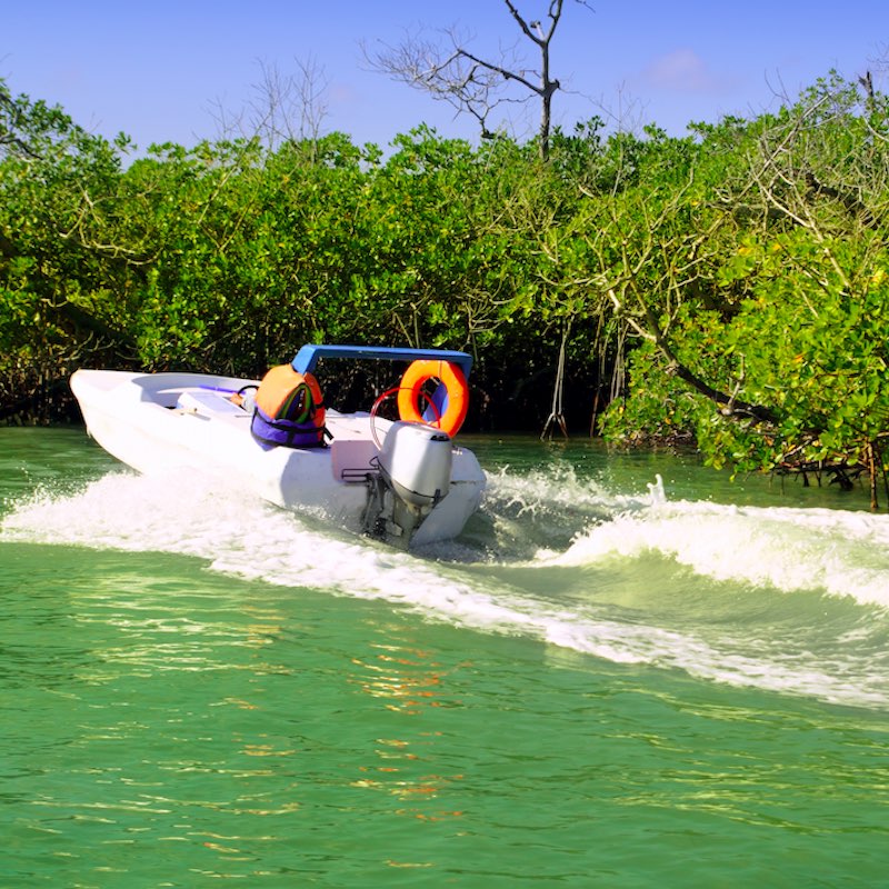 Boating in mangroves at Mayan Riviera Mexico in Cancun Nichupte Lagoon