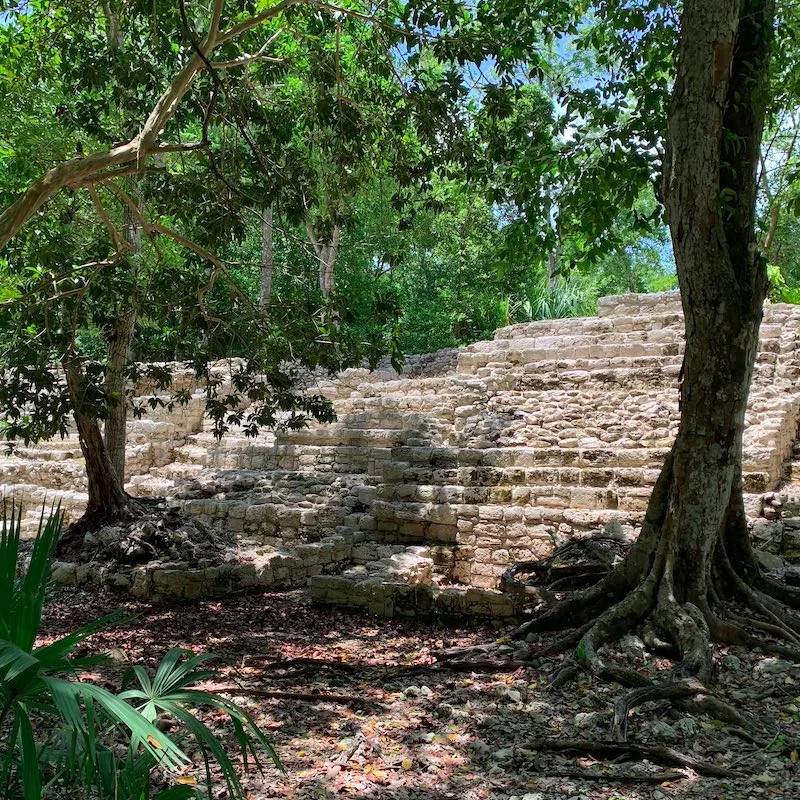 Mayan ruins at the archaeological site of Oxtankah, Chetumal, Mexico. Palm trees around the ancient steps.