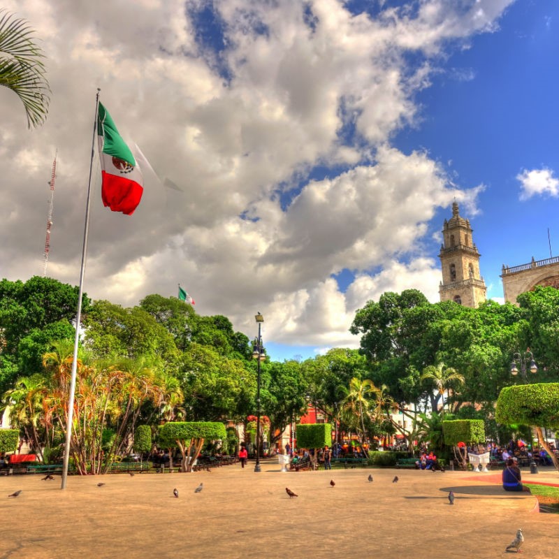Park in Merida with a Mexican flag in the background and people sitting and relaxing and birds everywhere.