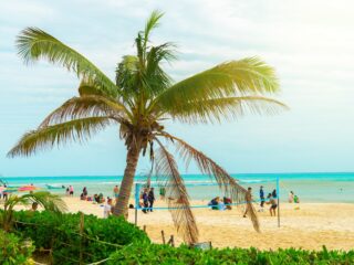 Weekly Playa Del Carmen Events For Tourists And Digital Nomads