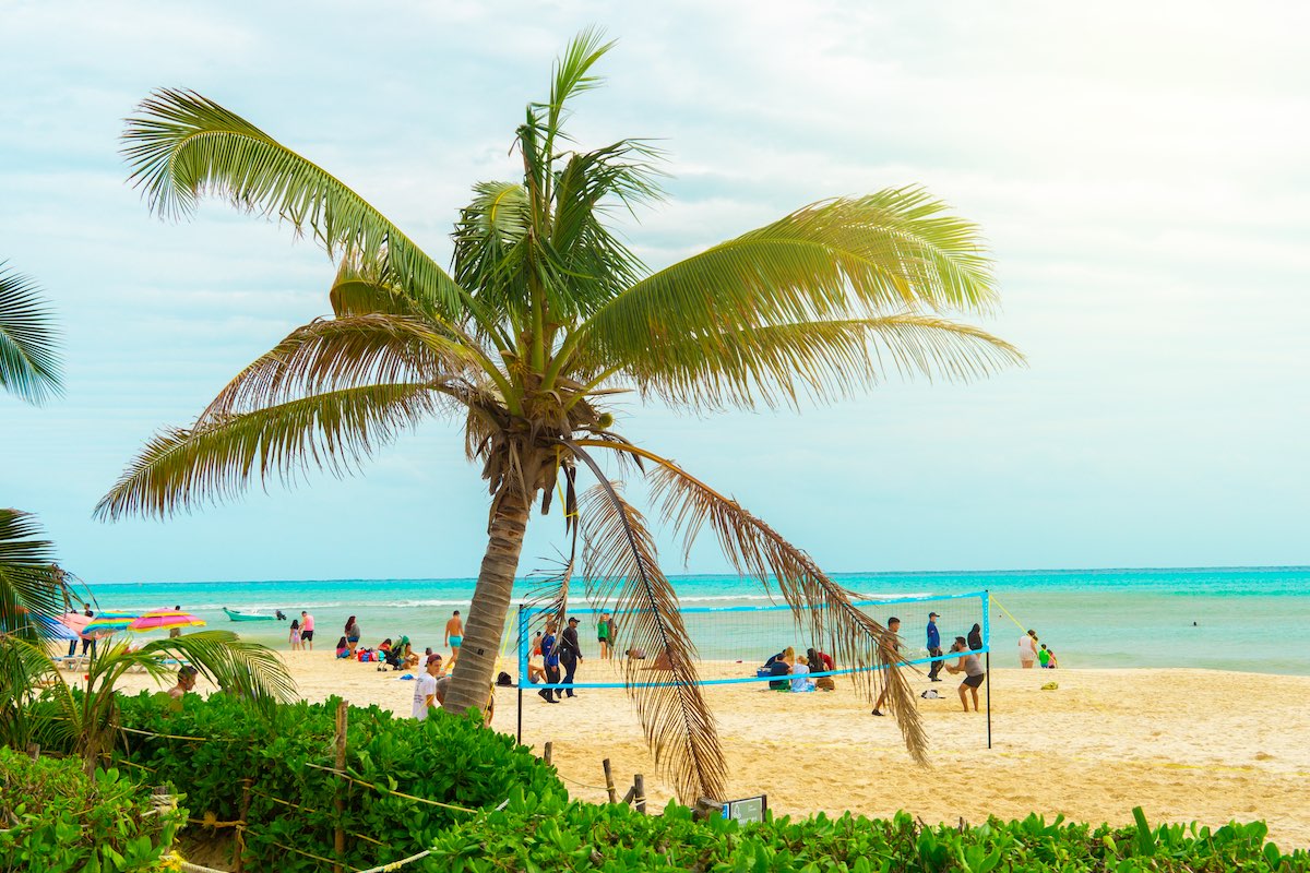 Weekly Playa Del Carmen Events For Tourists And Digital Nomads