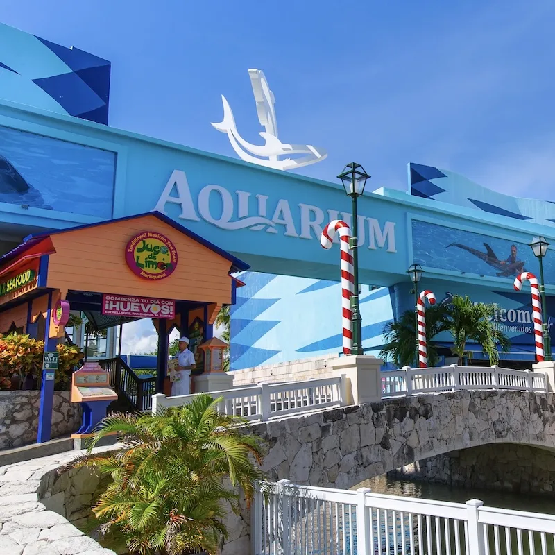 aquarium cancun