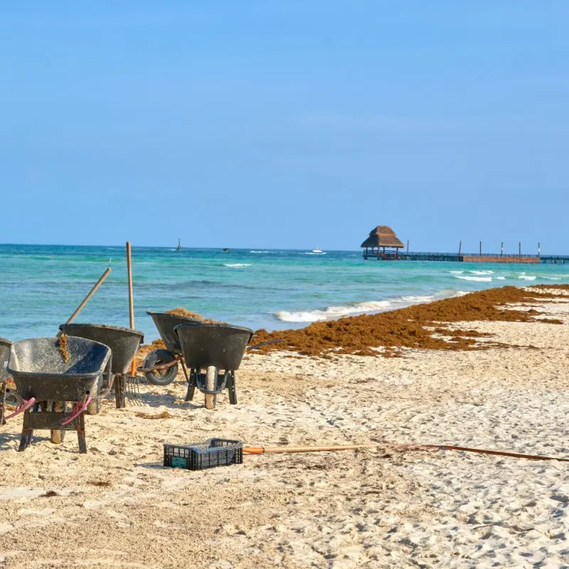 Beach Near Isla Mujeres with Small Amount of Sargassum and a dock in the distance.