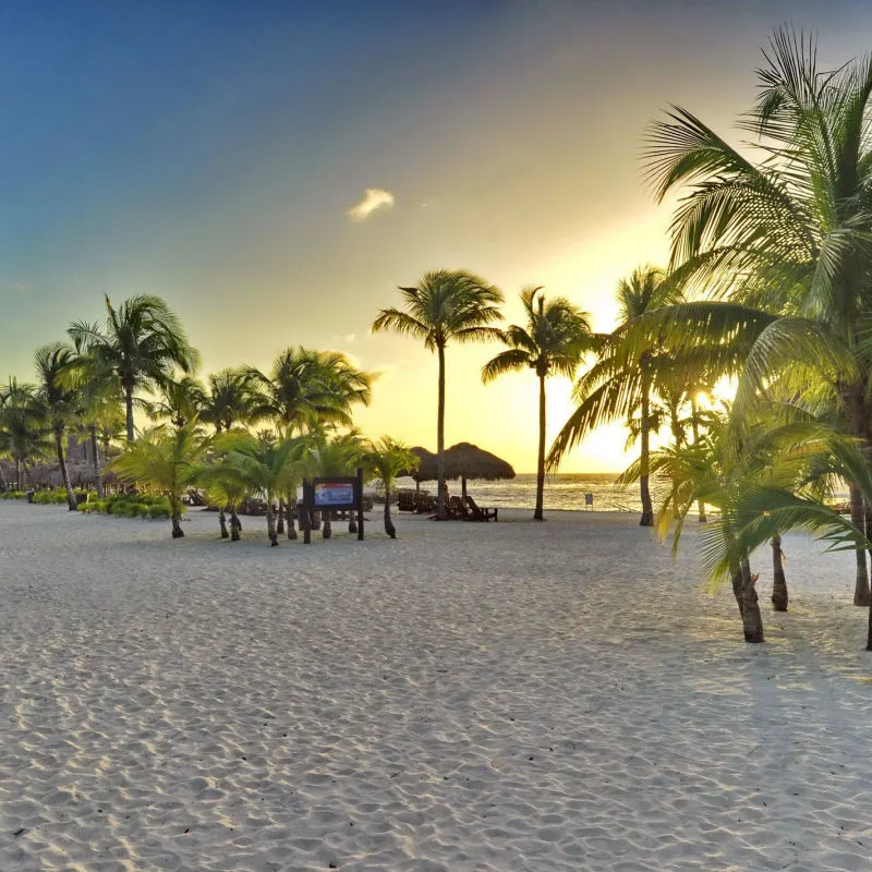 Pristine white-sand beach with sunset 