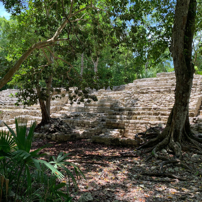 Greenery and ancient Mayan ruins in Chetumal