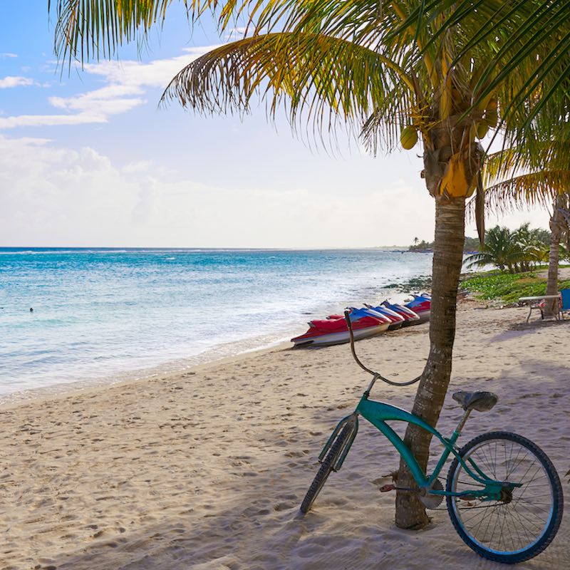 Bicycles resting on palm trees at Mahahual Caribbean Beach in Costa Maya in Mayan Mexico.
