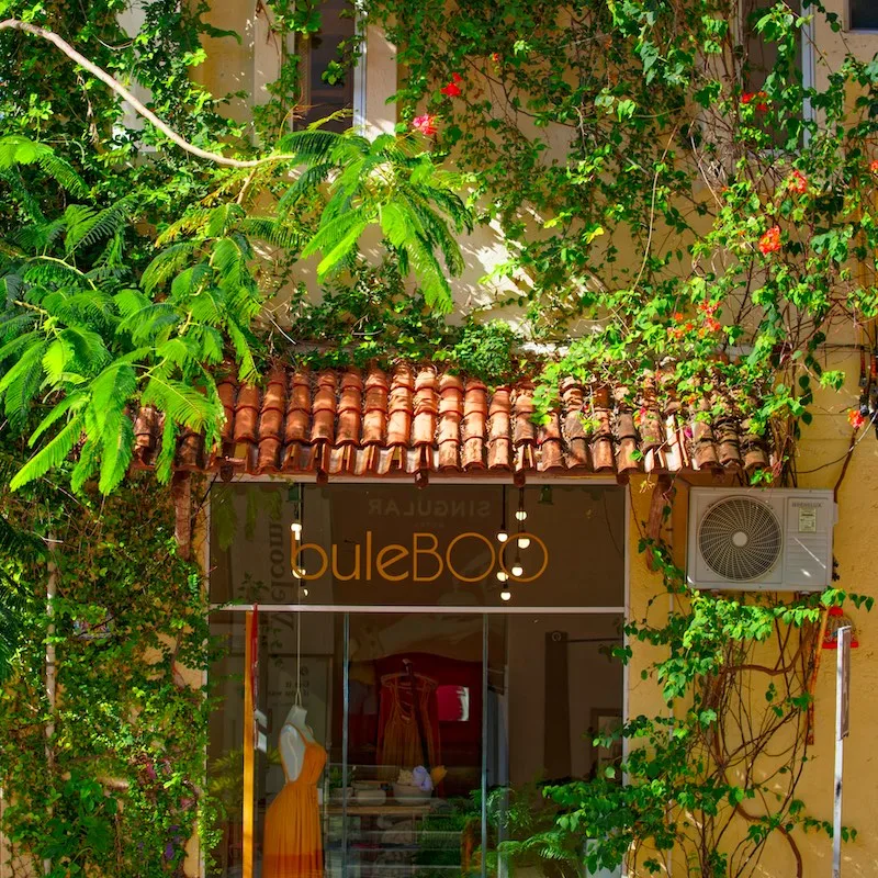 small clothing boutique exterior in Playa del Carmen, surrounded by luscious palm trees and greenery during the day.